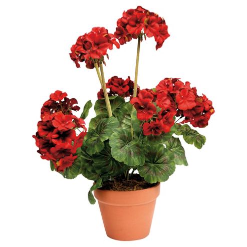 Buy 44cm Artificial Geranium Plant In Terracotta Pot from our ...