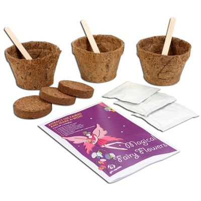 sow magical grow fairy flowers tesco