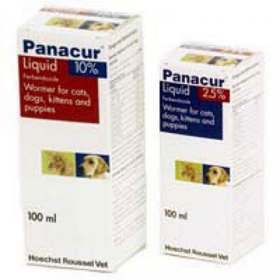 Buy Panacur Suspension 2.5% Cats And Dogs 100ml From Our Pet Grooming 