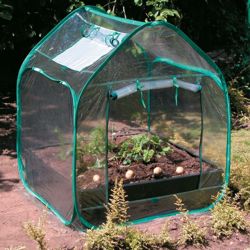 Buy Greenhouse - Mini Pop Up Greenhouse - 1 greenhouse from our ...