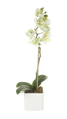 Buy Parlane Artificial Potted Orchid Plant - 37cm from our Artificial ...