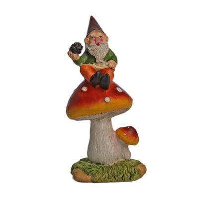 Buy Aut the Resin Garden Gnome Sitting on a Mushroom from our Garden ...