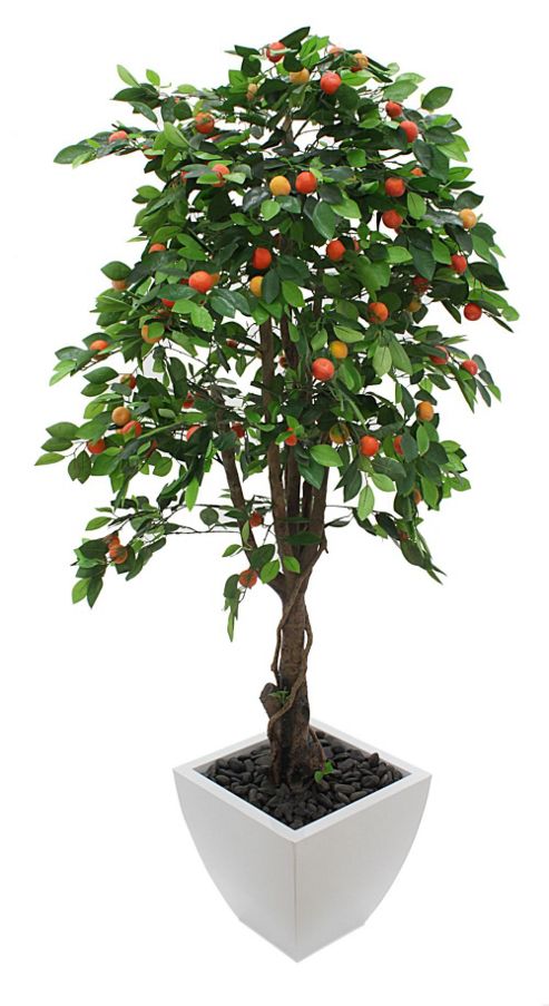 Buy Artificial 6ft Orange Tree from our Artificial Flowers range - Tesco