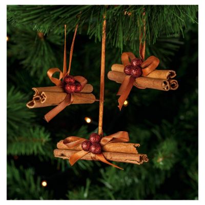 Buy Tesco Cinnamon Sticks Hanging Decoration, 4 Pack from our All ...