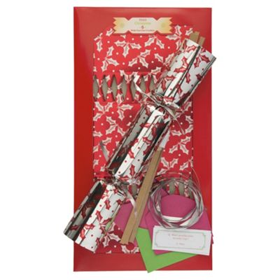 Buy Tesco Make Your Own Holly Christmas Crackers, 6 pack from our All