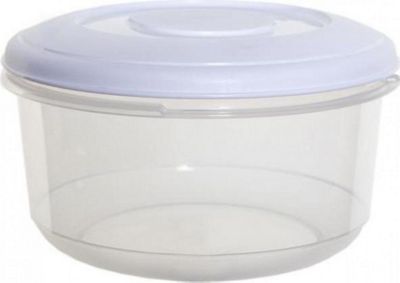 food container 1l